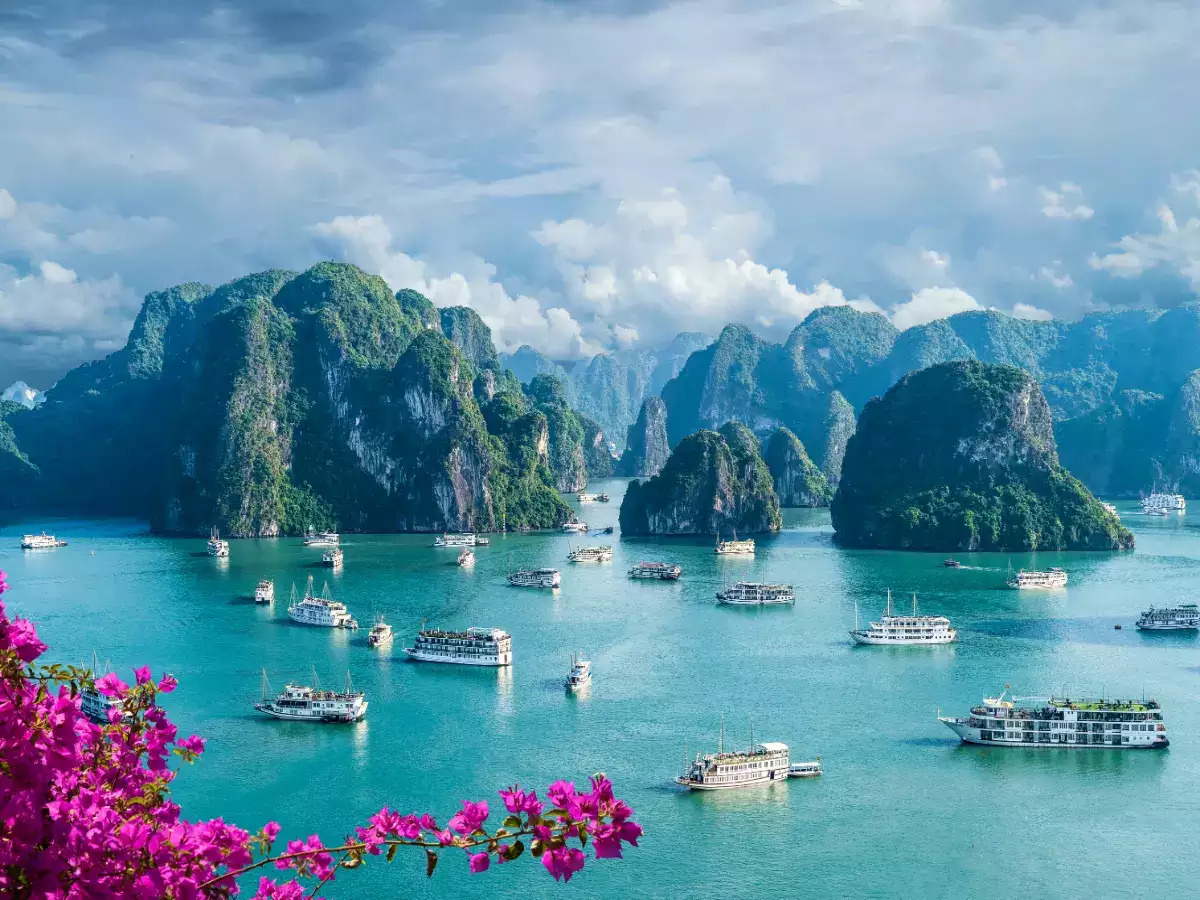 Vịnh Lan Hạ - Hạ Long Bay