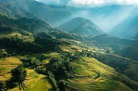 Ruộng bậc thang