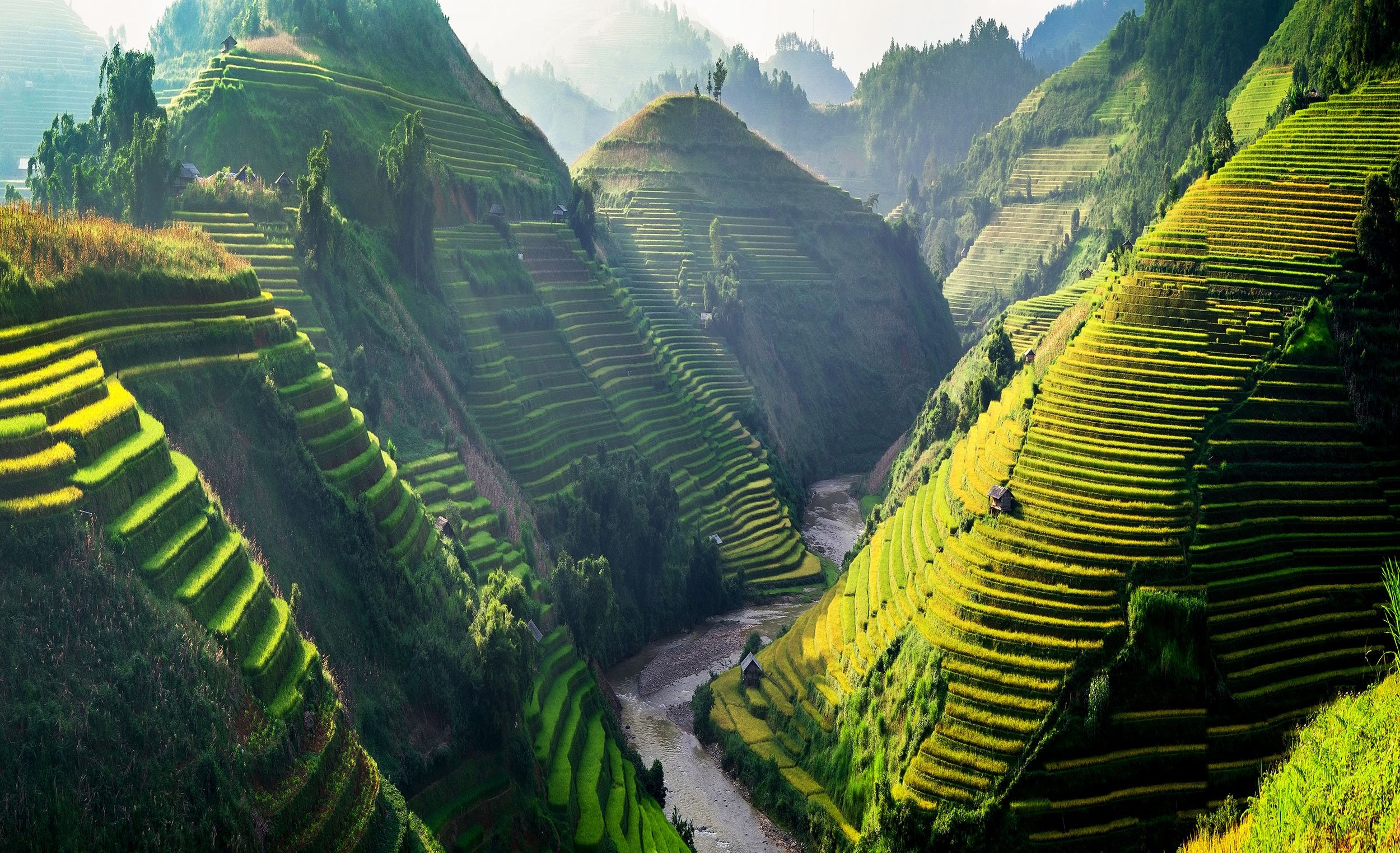 Thung lũng Mường Hoa - Sapa