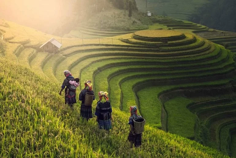Hành trình tìm về nguồn cội: Hà Nội - Hạ Long - Ninh Bình - Bái Đính - Tràng An - Chùa Địa Tạng Phi Lai Tự - Quần thể Tam Chúc